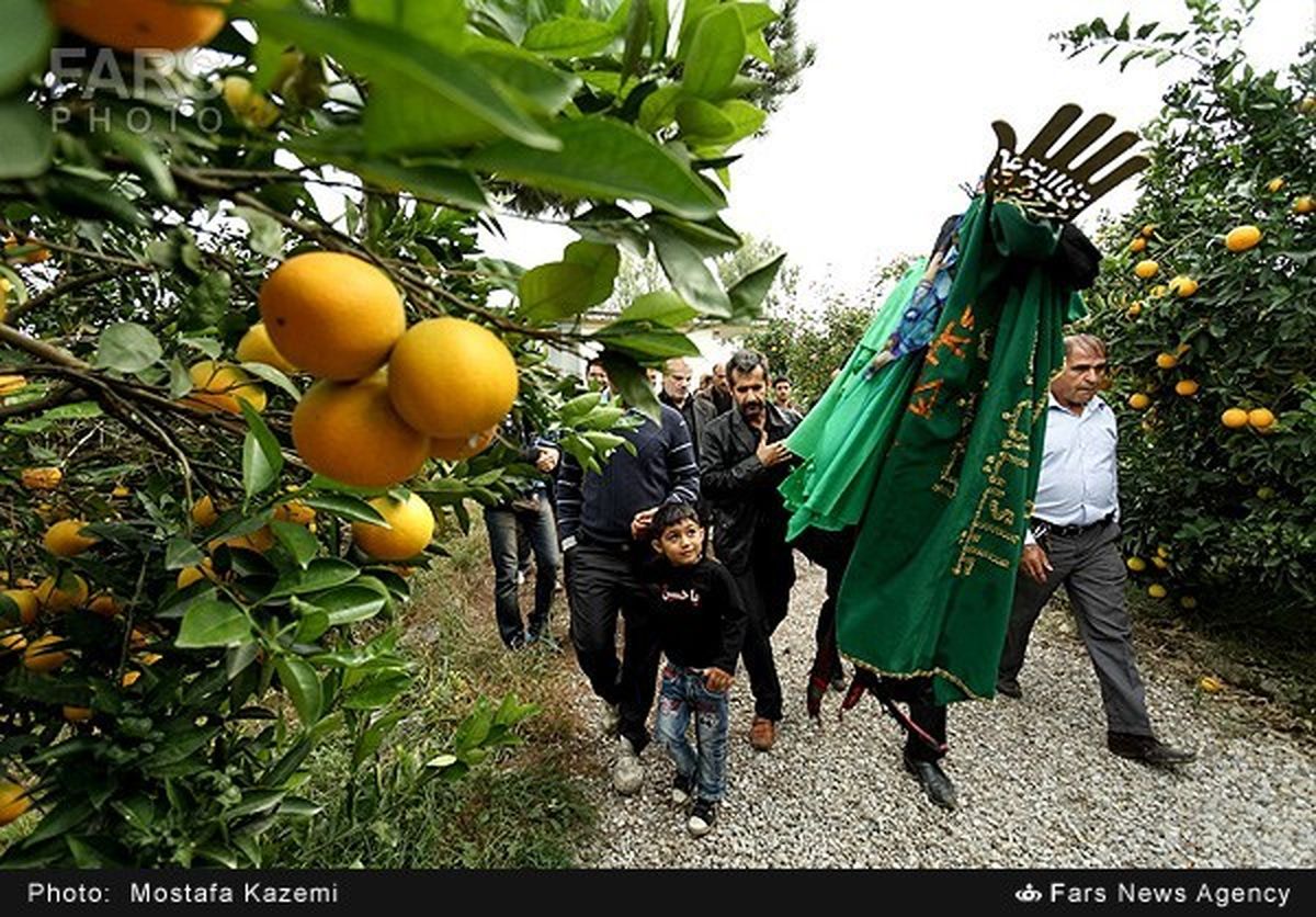 آئین سنتی علم گردانی /تصاویر