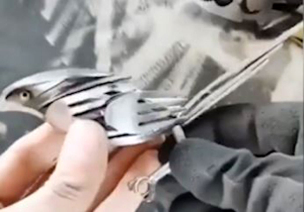 فیلم: خلاقیتی باورنکردنی با استفاده از قاشق و چنگال