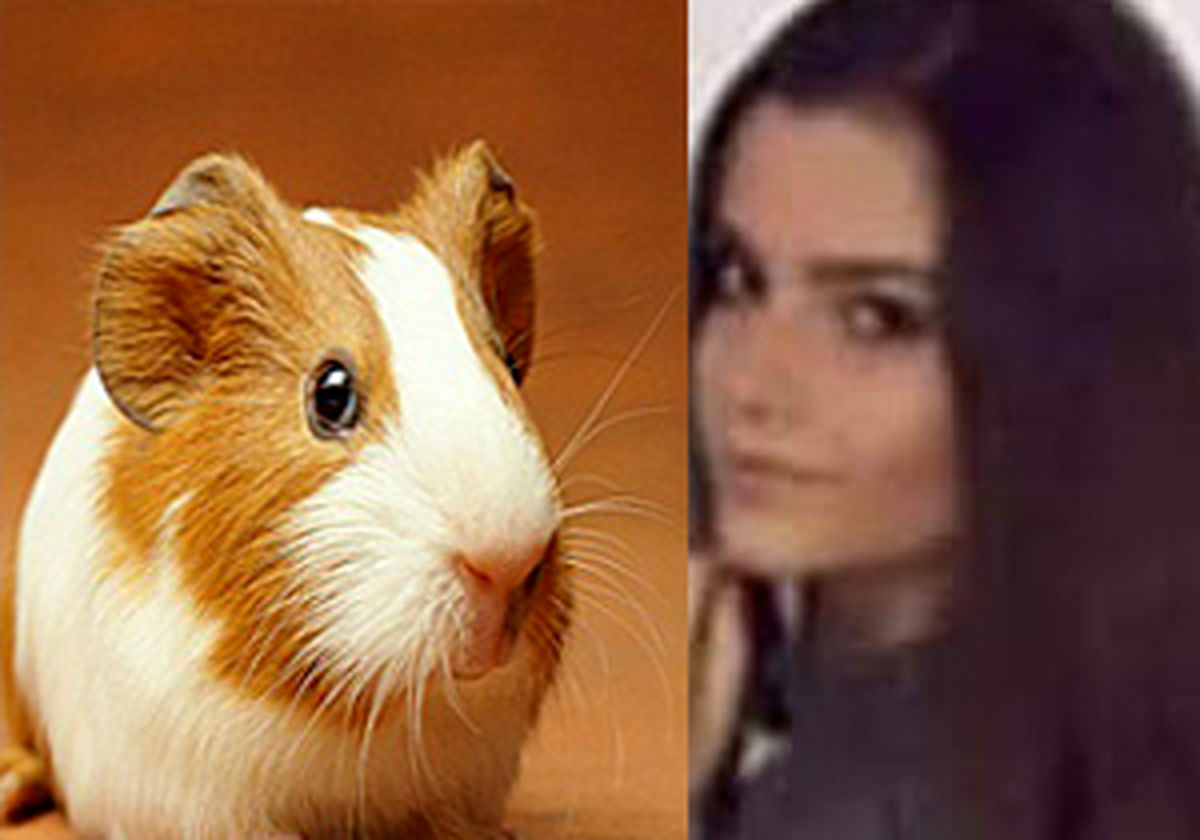 علت تهدید کاربران علیه دختر برزیلی چیست؟ +عکس