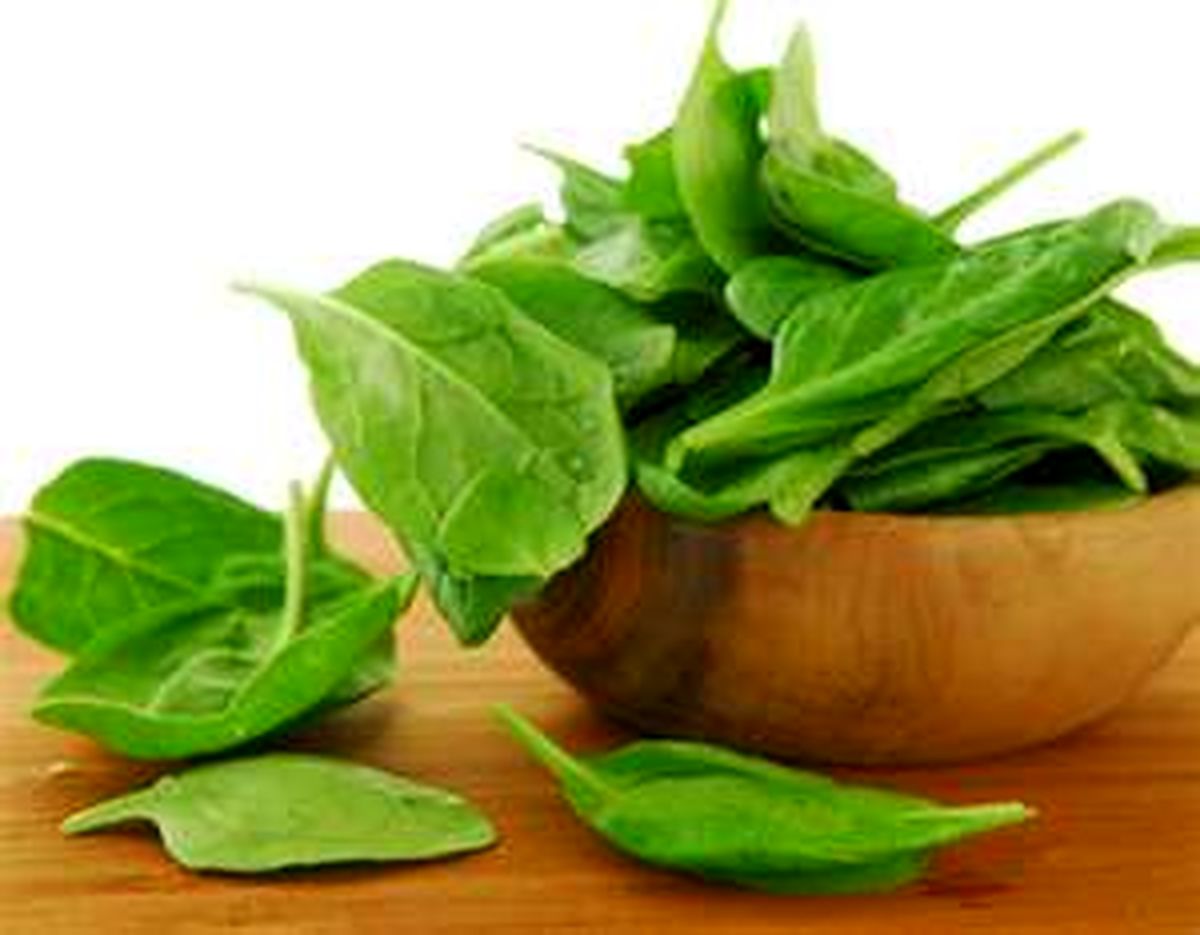 آیا واقعا خوردن اسفناج ماهیچه را قوی می کند؟