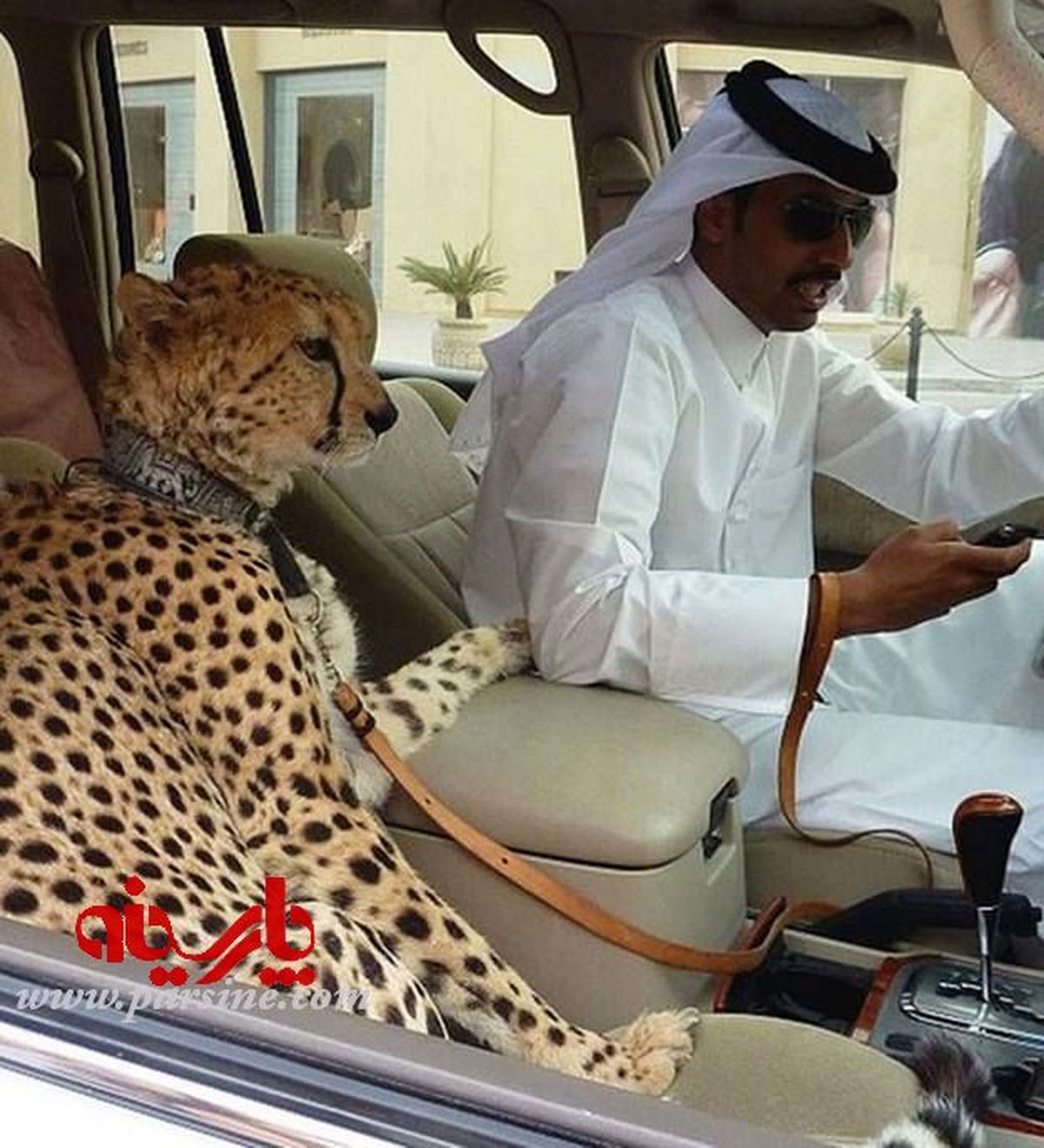 عکس: تفریح عجیب مرد عرب!