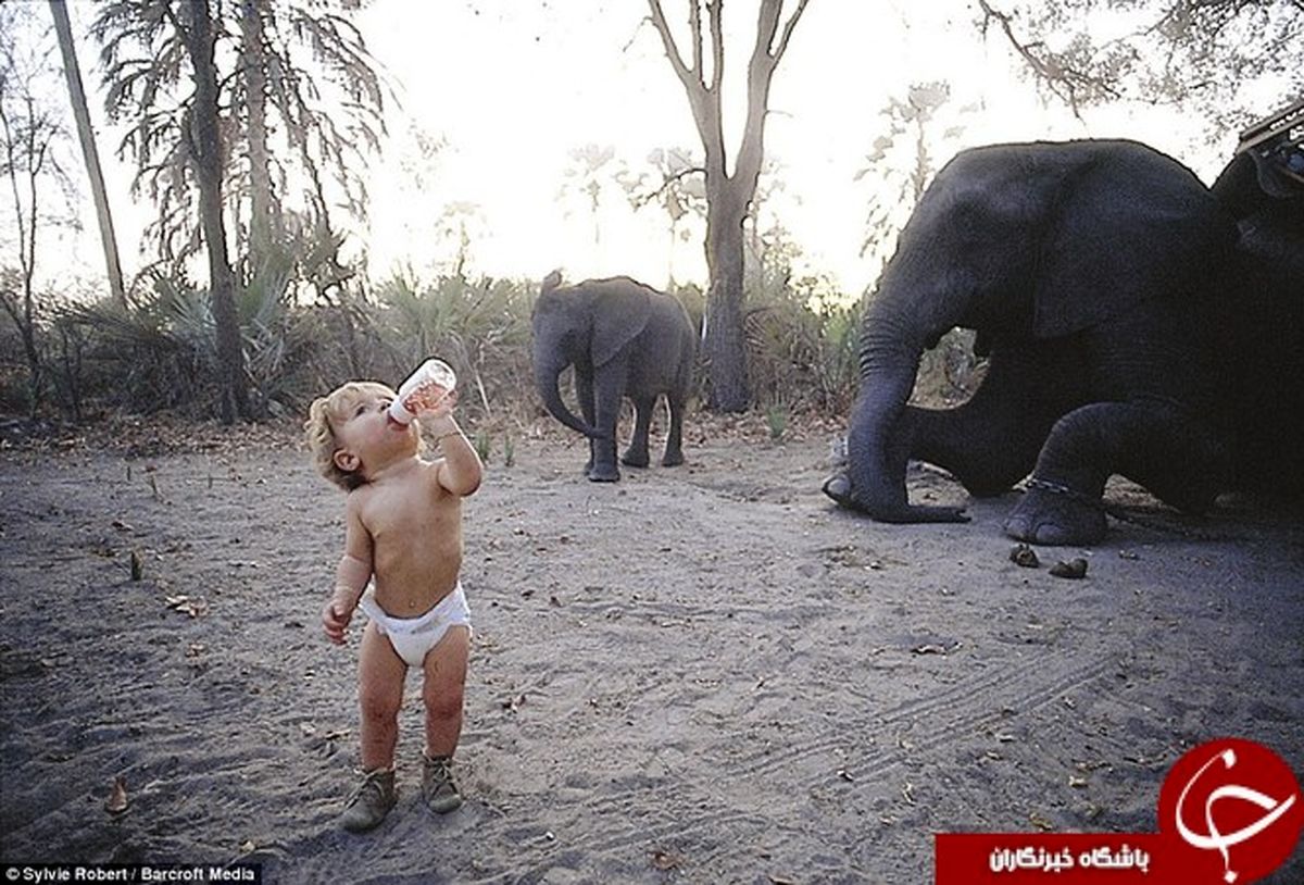 دختری که از کودکی با حیوانات وحشی بزرگ شده! +تصاویر