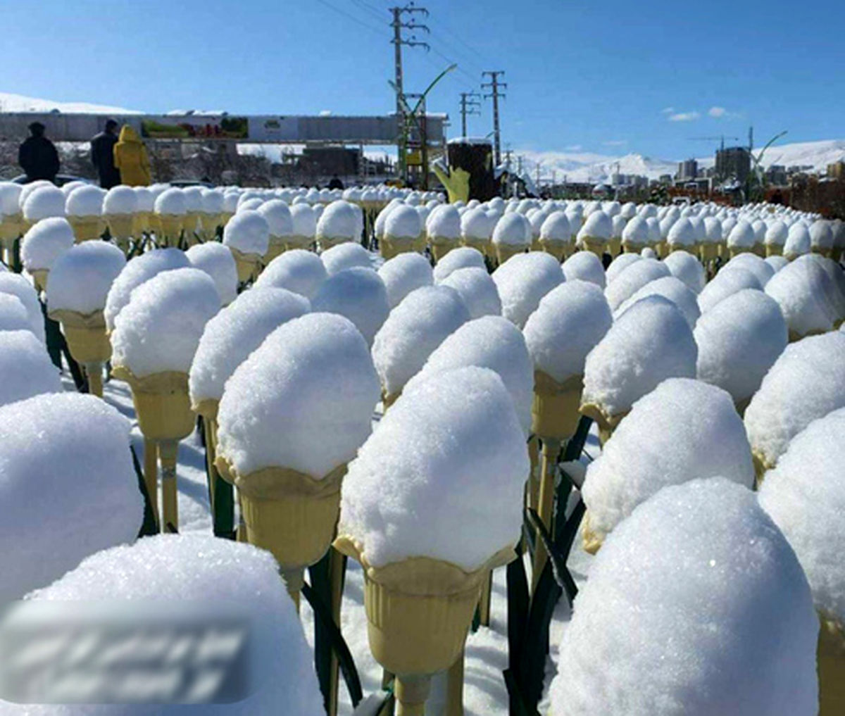 پارکی در ارومیه توجه همه را به خود جلب کرد +عکس