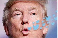 چرا ترامپ، توئیت‌بازترین رئیس جمهوری دنیاست؟