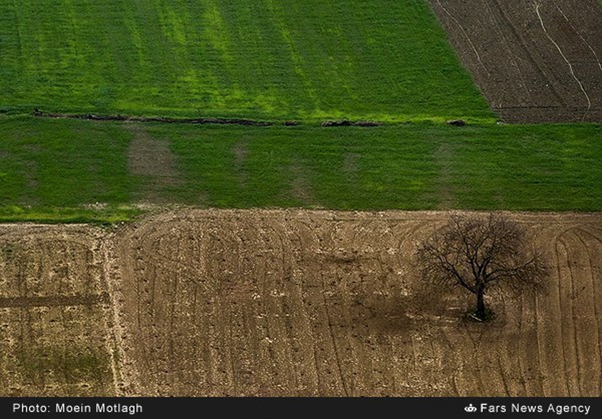 نمای هوایی از طبیعت گلستان/تصاویر