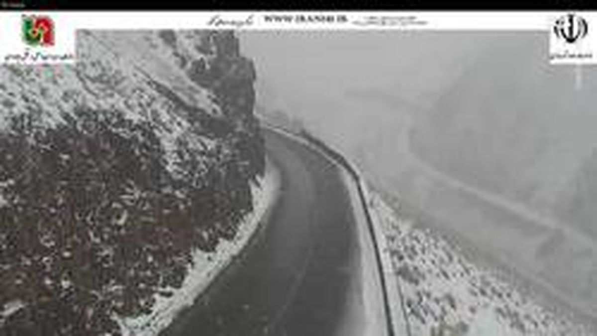 جاده چالوس برفی شد +عکس