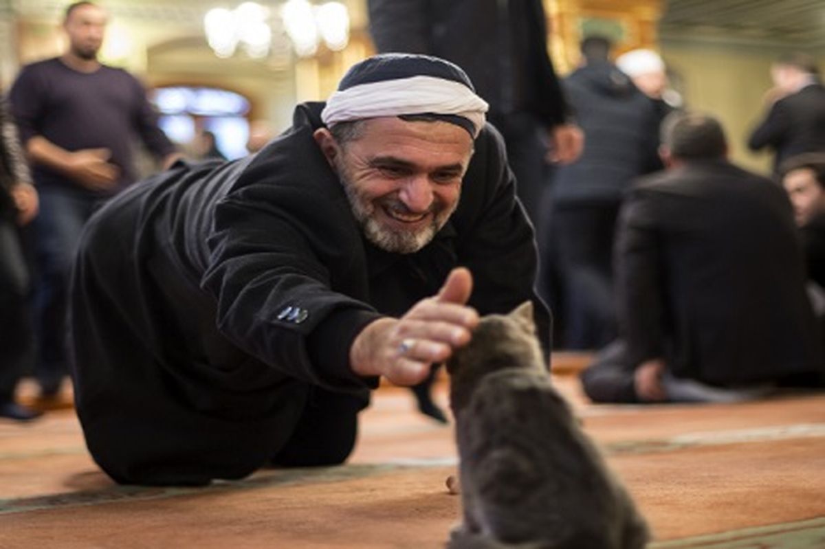 امام جماعت دوست گربه ها!+تصاویر