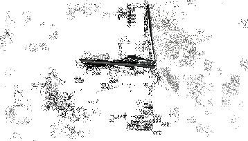 اینطوری فرمون میدن!/عکس