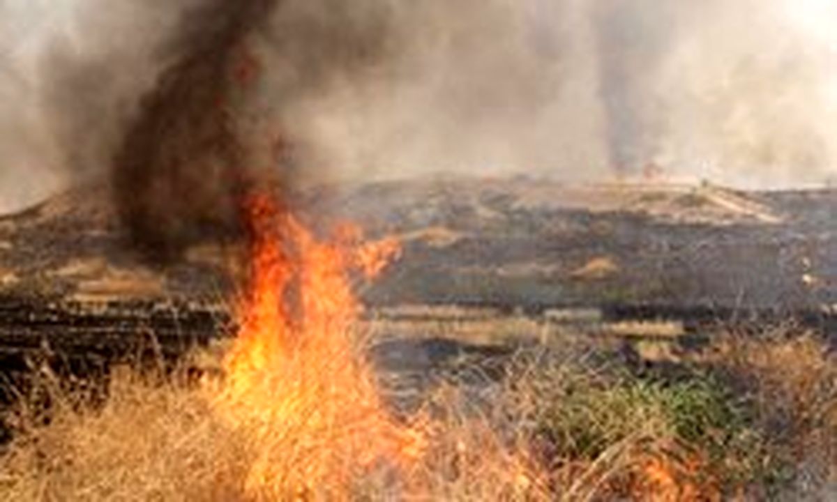 آتش زدن جنگل‌های مریوان کار چه کسی بود؟ +تصاویر