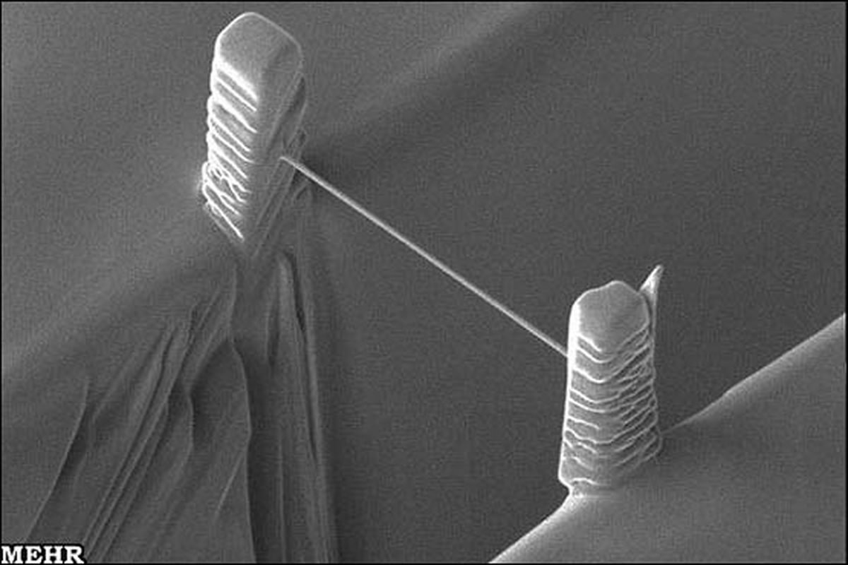 نانو عکسهایی از ریزترین موضوعات جهان