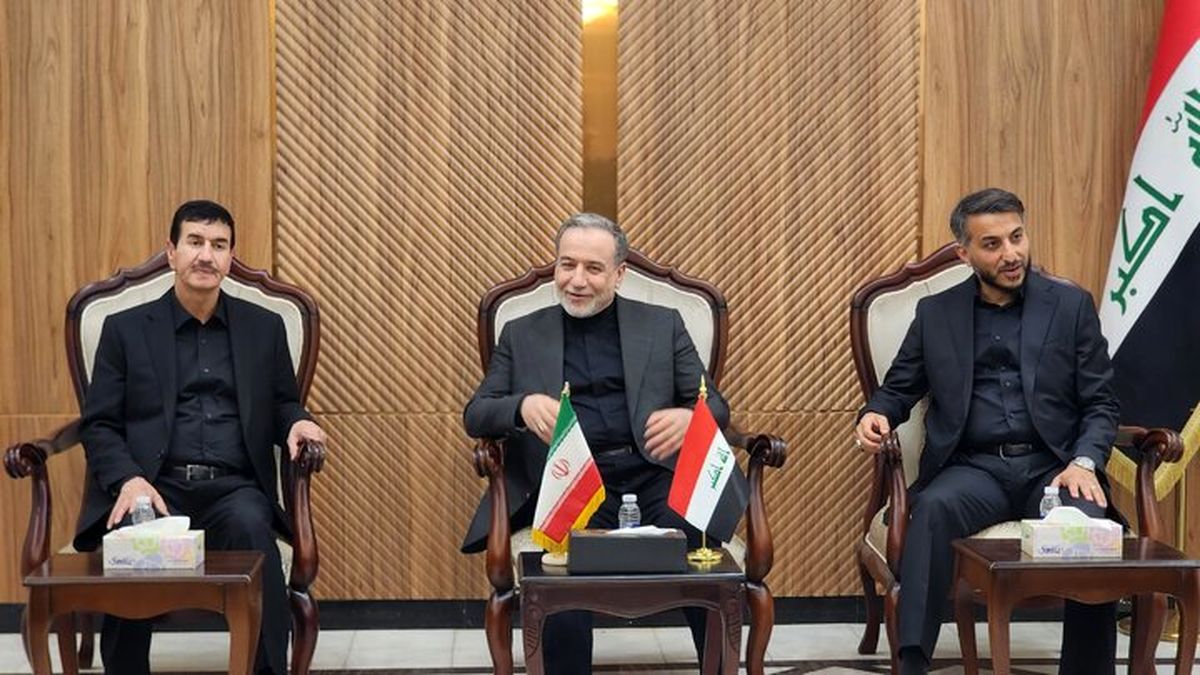 قدردانی عراقچی از مواضع مسئولان، مراجع عظام تقلید و مردم نجف  
