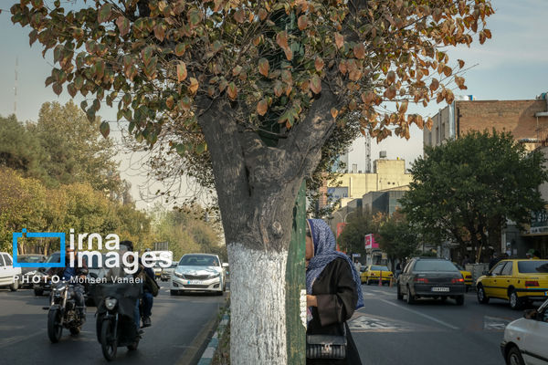 تصاویر: پاییز بی‌رنگ پایتخت