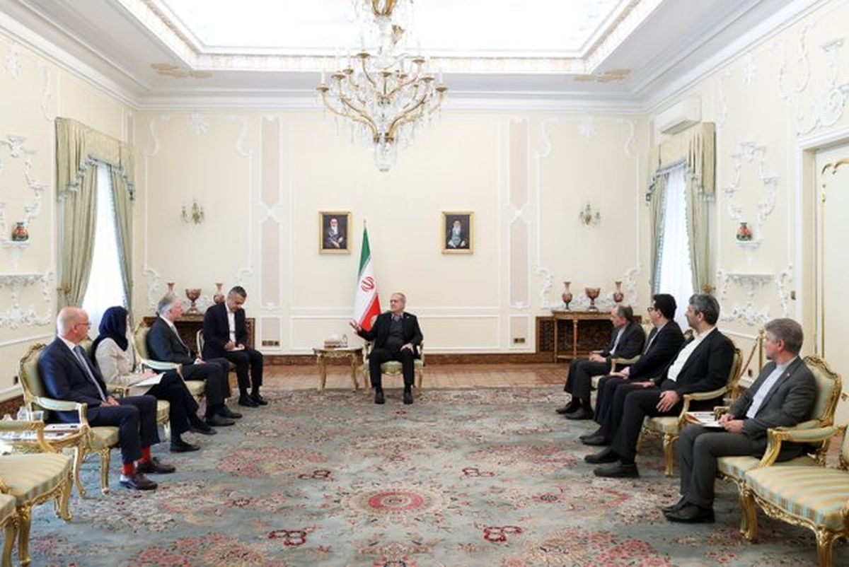 پزشکیان خطاب به سفیر اتریش: در خنثی‌سازی تبلیغات نادرست ضدایرانی نقش‌آفرین باشید