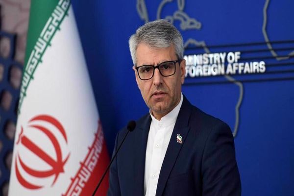 پاسخ بقائی به یاوه گویی نانسی پلوسی درباره ایران