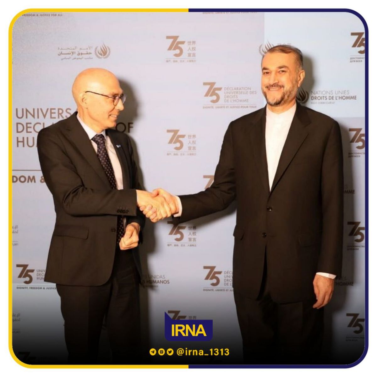 امیر عبداللهیان و کمیسرعالی حقوق بشر گفتگو کردند