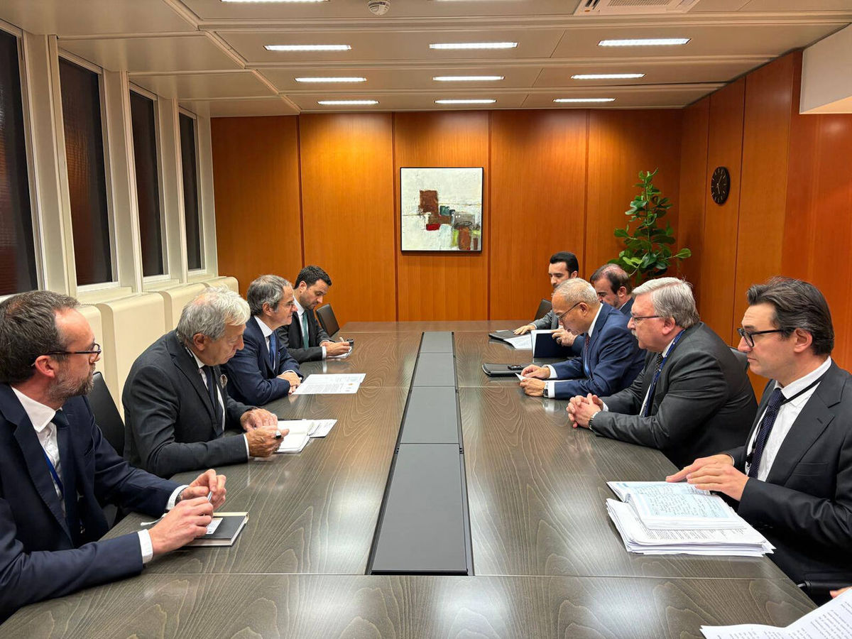  دیدار سفرای ایران، چین و روسیه با گروسی