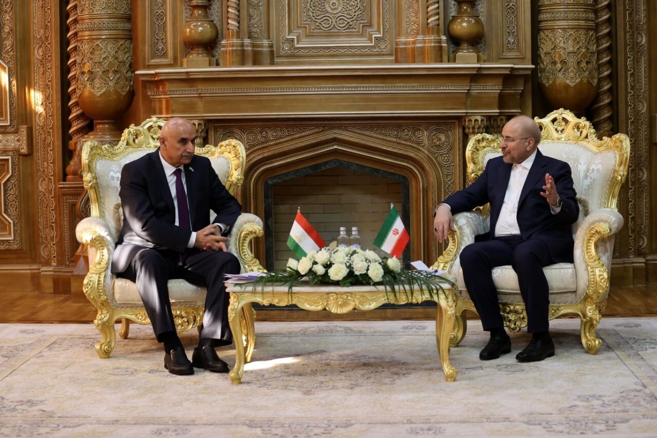دیدار قالیباف با رئیس مجلس نمایندگان تاجیکستان