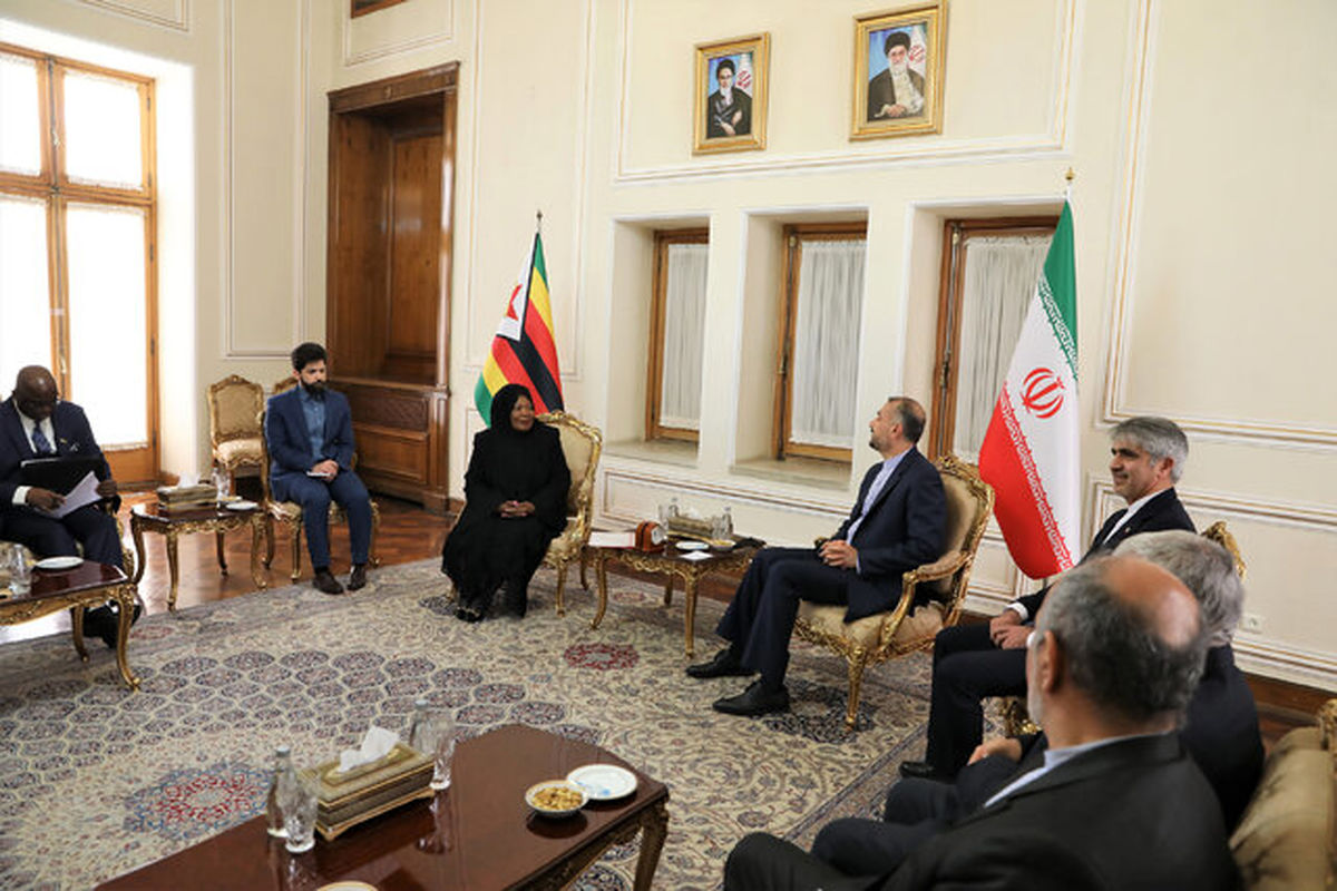 دیدار امیر عبداللهیان با همسر رئیس جمهور زیمبابوه