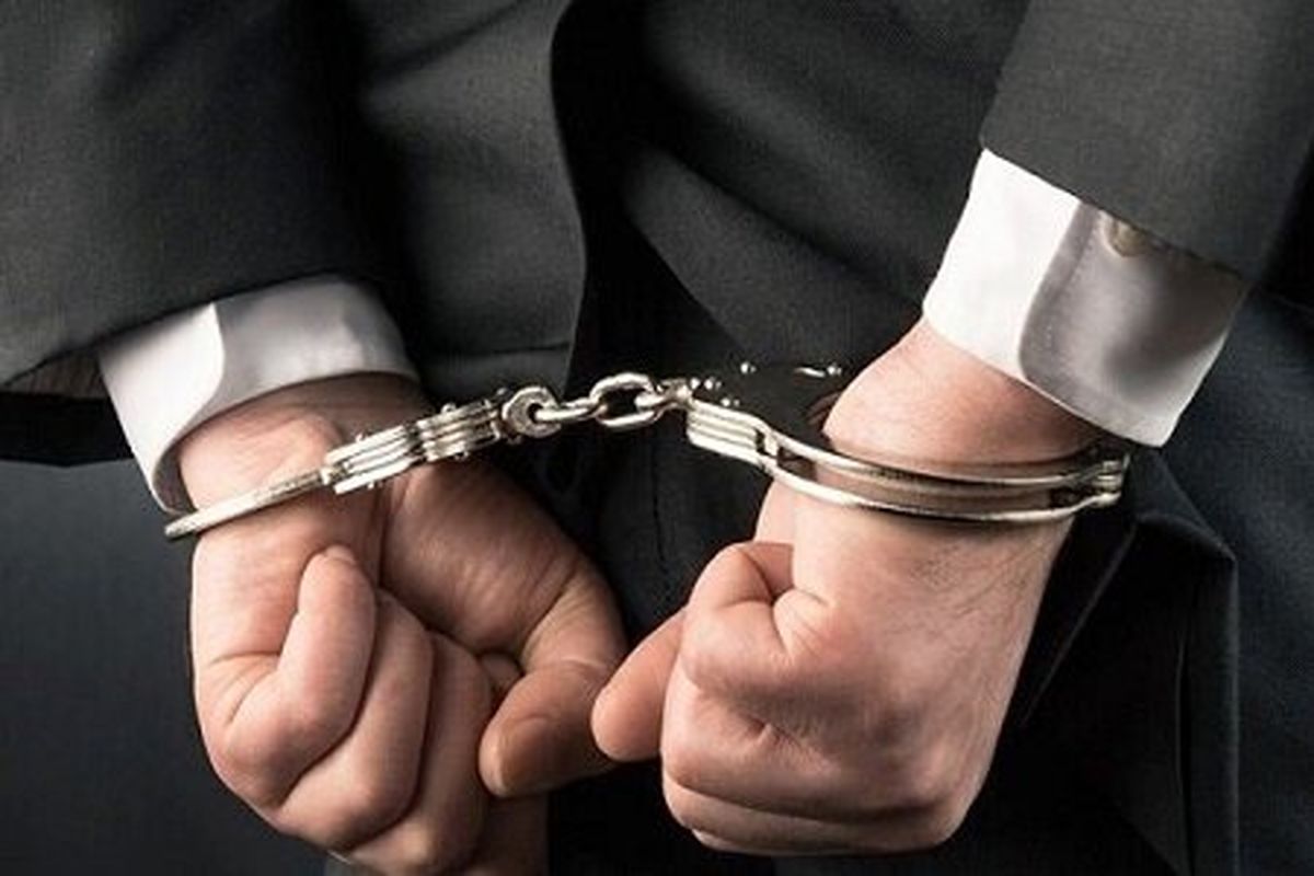 پلیس به دنبال دو سارق به خاطر هوش زیاد +فیلم