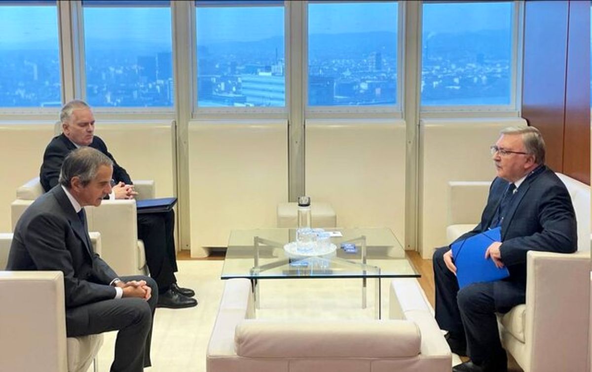 دیدار اولیانوف با گروسی درباره ایران  