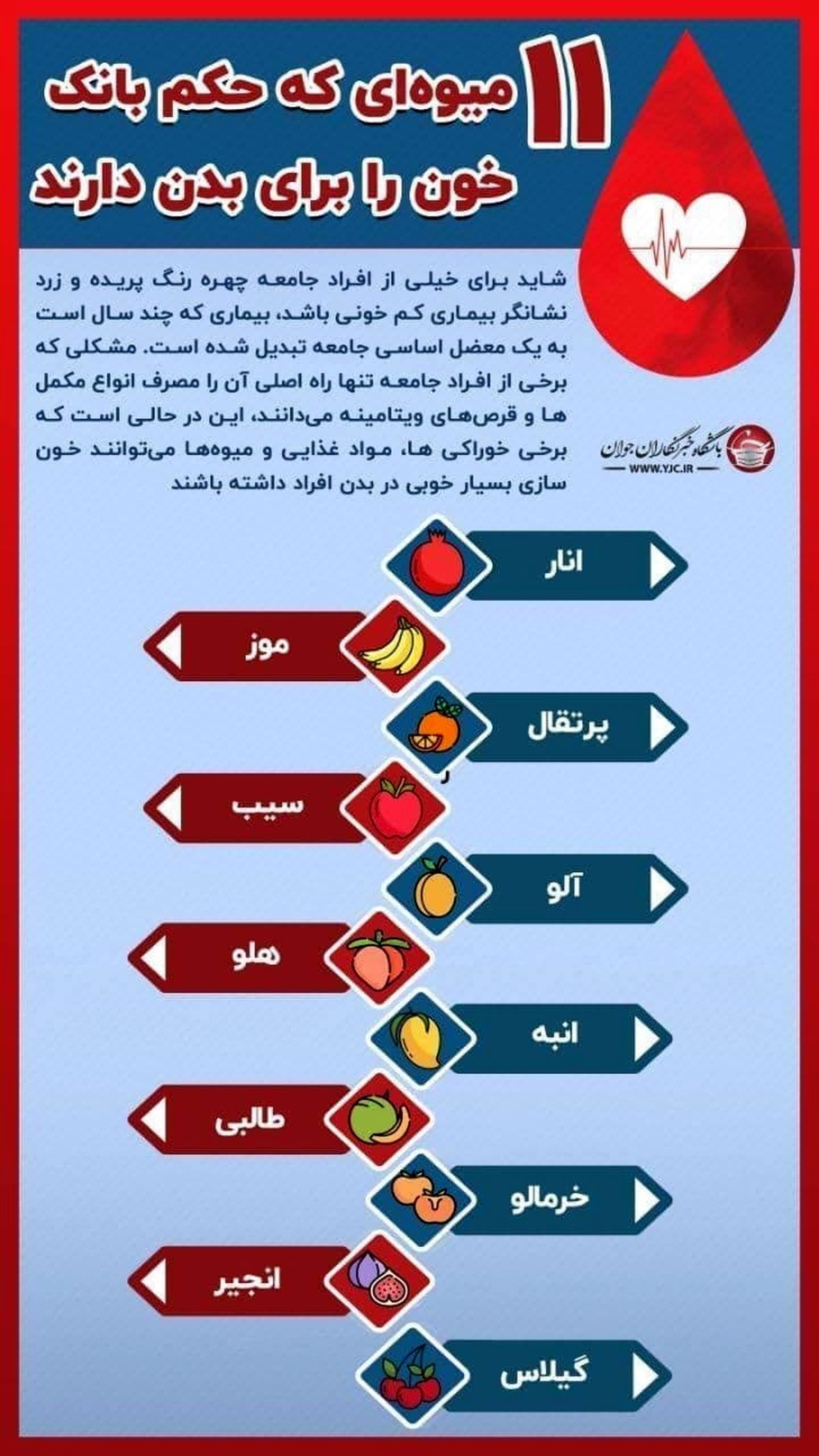 ۱۱ میوه ای که حکم بانک خون را برای بدن دارند
