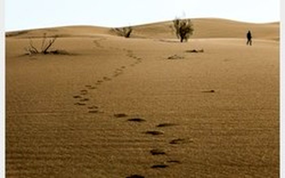 نجات جان ۲ مسافر گرفتار در کویر نهبندان
