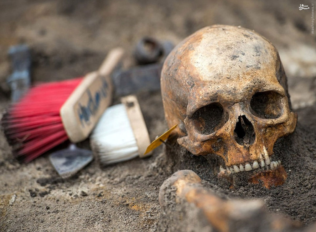 تصاویر: کشف گور دستهجمعی در لهستان