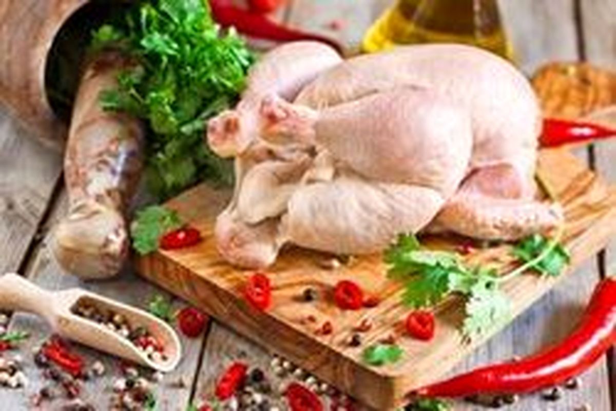 افزایش قیمت مرغ در بازار