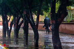 تهران امروز بارانی میشود