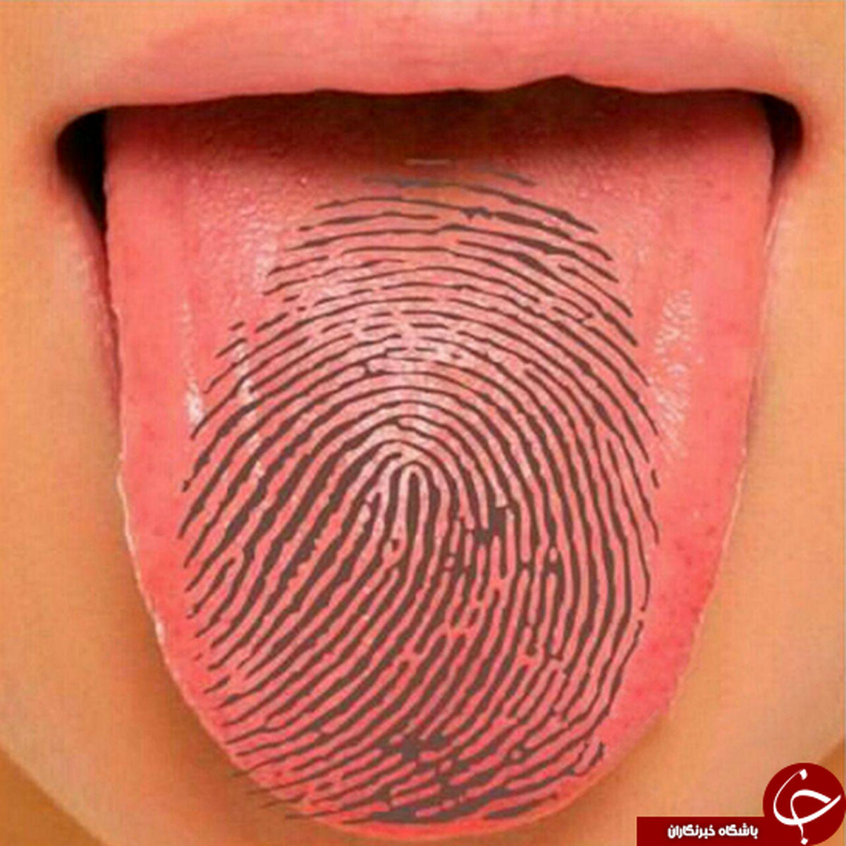 اثر زبان هم منحصر به فرد است +عکس