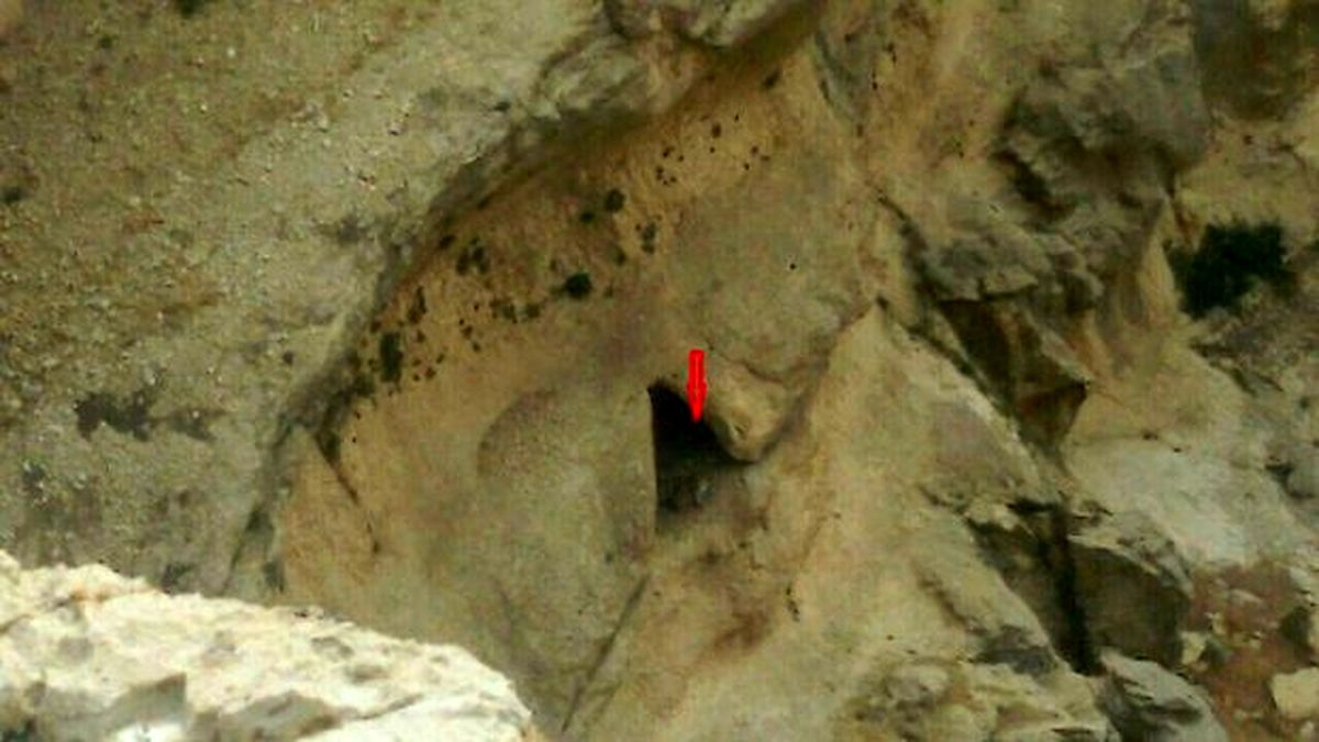 مشاهده پلنگ در کوه‌های خرم‌آباد +عکس