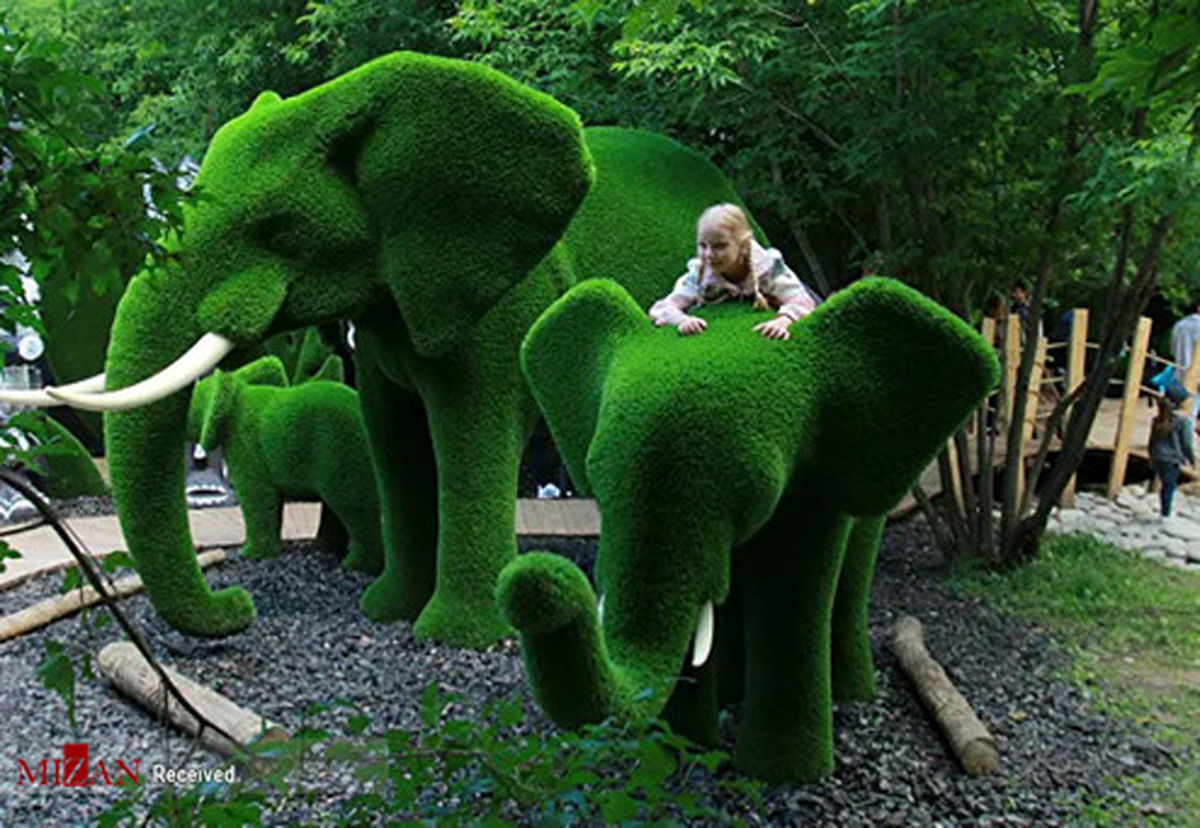 تصاویر: پارک خانواده در روسیه