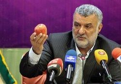 حجتی: کل نیاز کشور به محصولات کشاورزی را تامین می‌کنیم