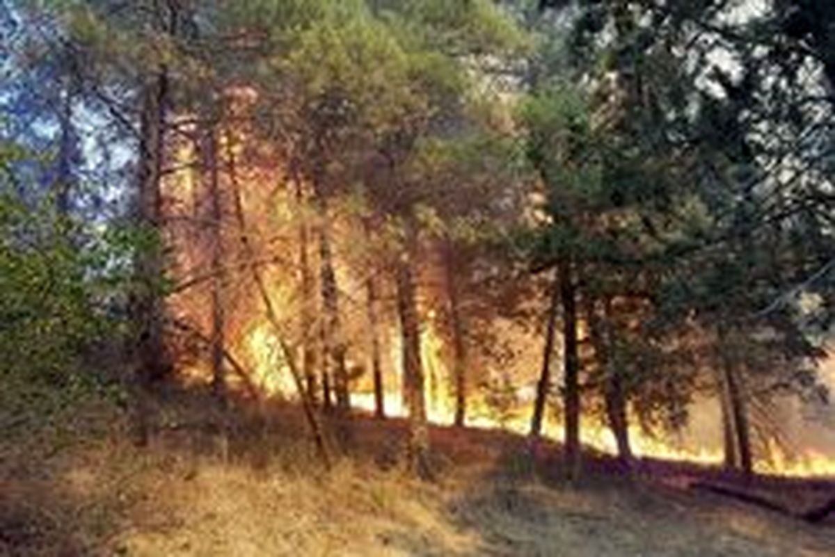 جنگل ابر آتش گرفت/ دومین حریق در ۴۰ روز اخیر