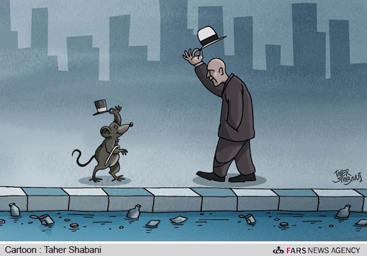 افزایش تعداد موش های شهر نشین!