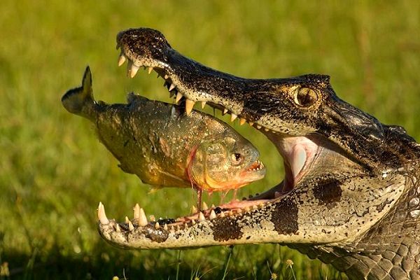 بدون شرح/عکس