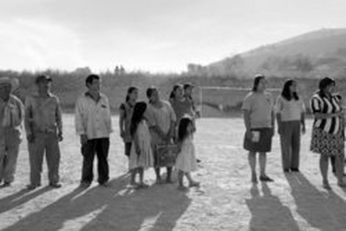 «روما» بهترین فیلم حلقه منتقدان فیلم نیویورک شد