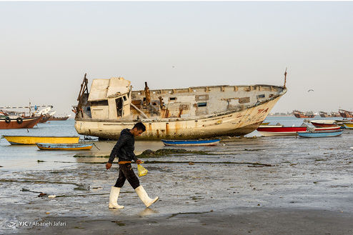 تصاویر: ایران ما؛ جزیره شیف‎