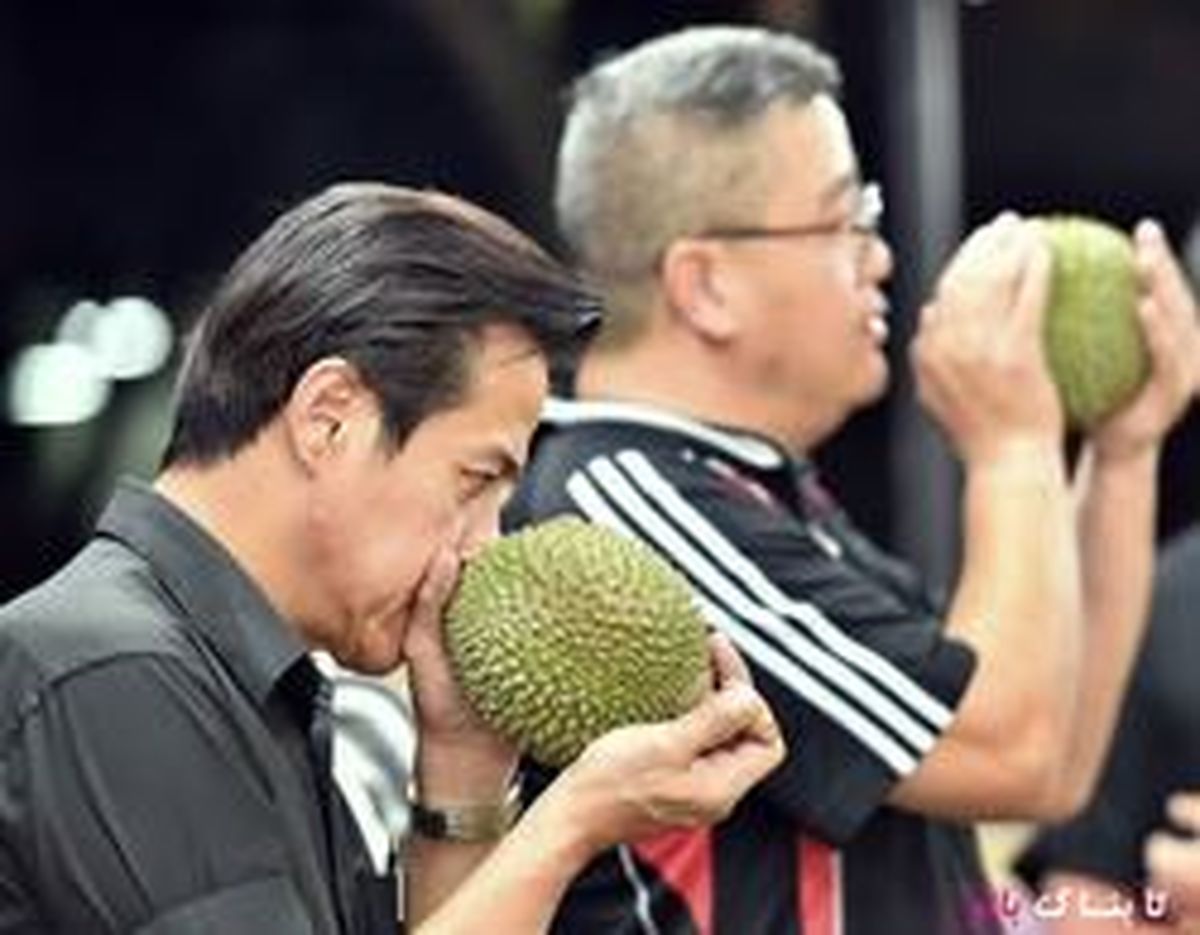 میوه‌ای که به بوی مشمئز کننده اش معروف است! +تصاویر