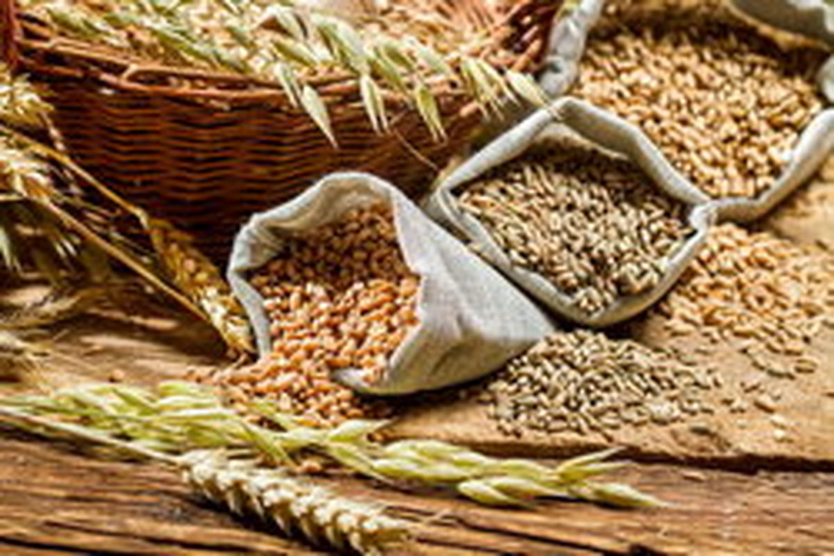 فیبر، مرگ ناشی از سرطان روده را به تاخیر میاندازد