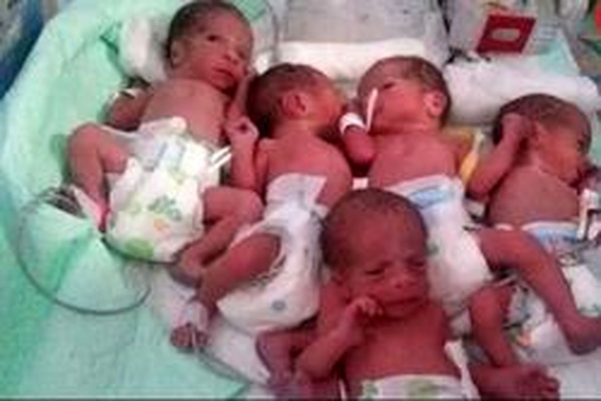 مرگ تلخ ۳ نوزاد از ۵ قلو‌های تازه متولد شده لنگرودی