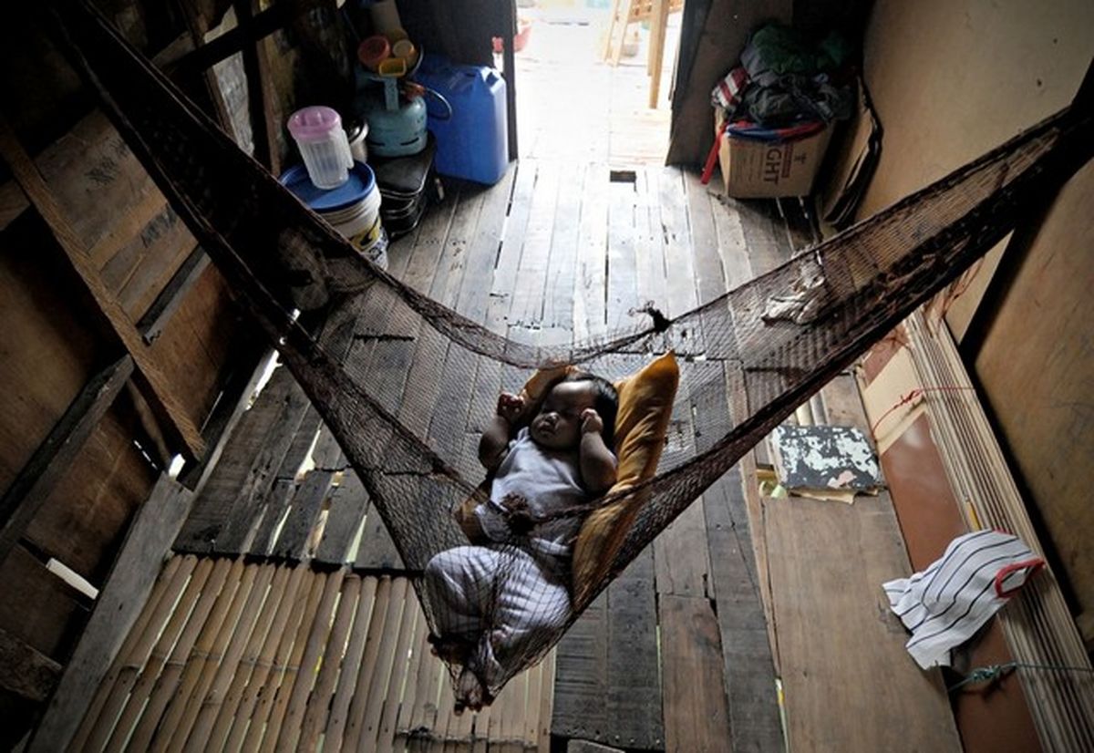 جایی بهتر برای خوابیدن نبود؟ / عکس