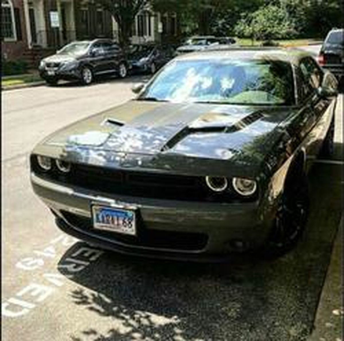 شیرین کاری بچه‌های کرج در آمریکا +عکس