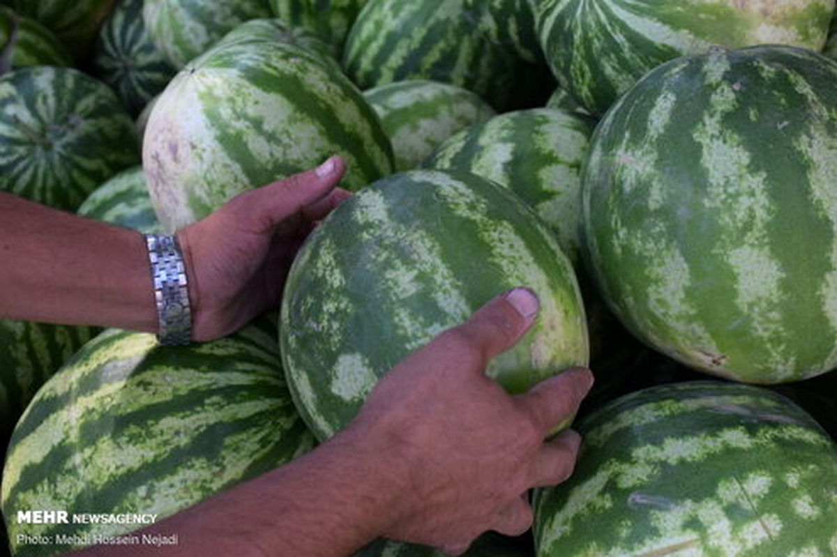 تصاویر: به شرط چاقو