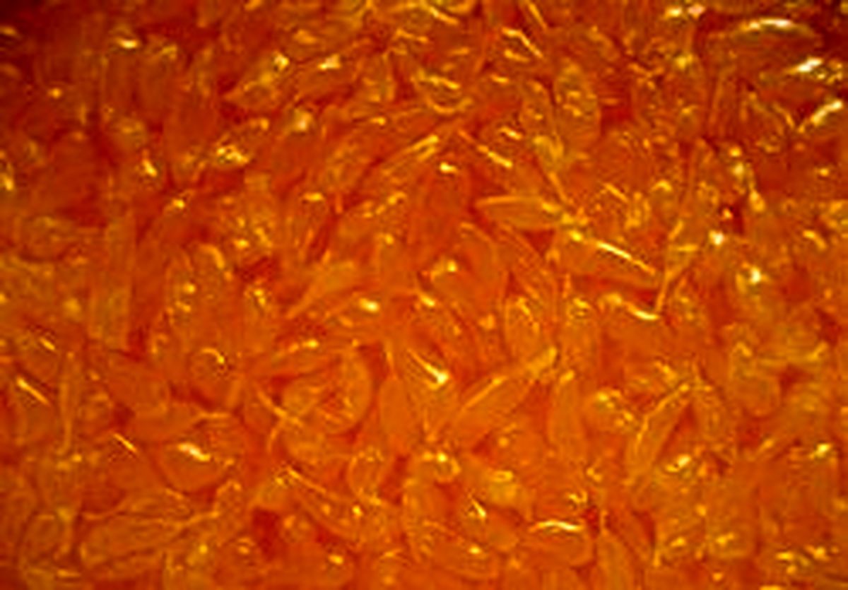 واردات پالپ پرتقال و پرک نارنگی آزاد شد