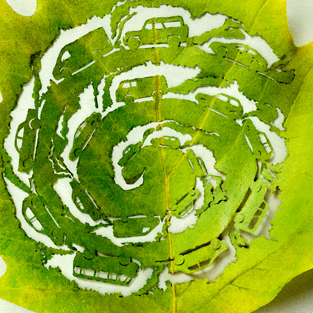 با طبیعت چه می کنیم!/عکس