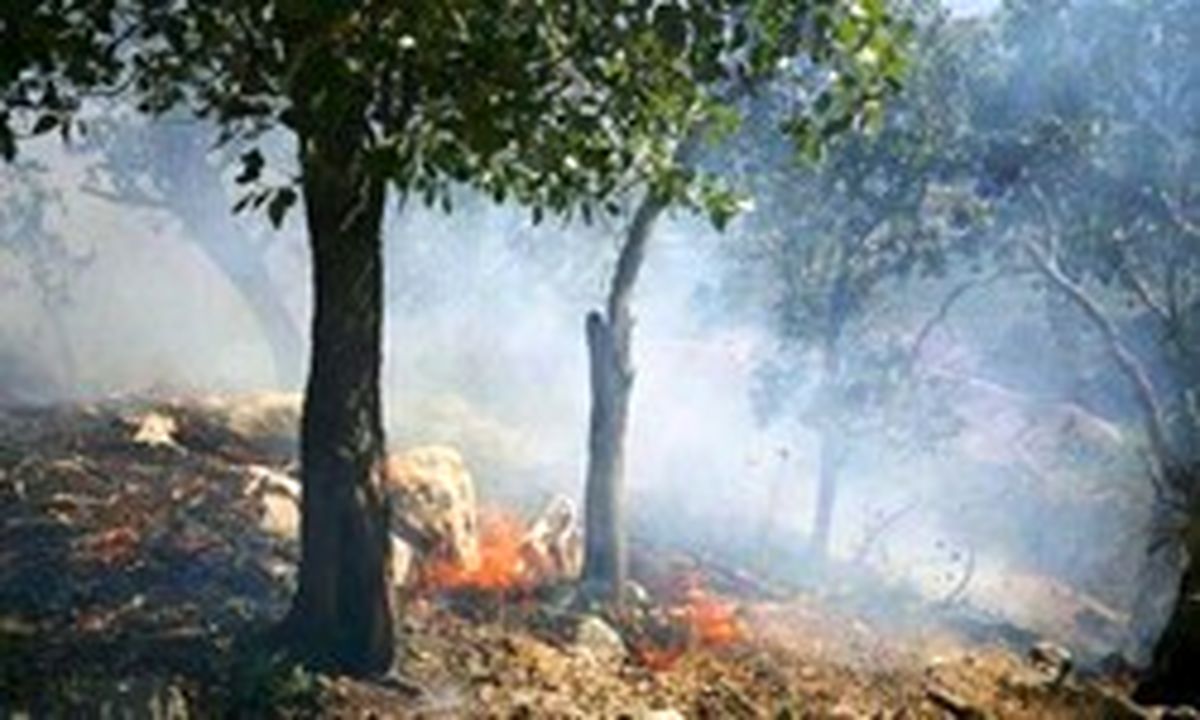 آتشسوزی جنگلهای بلوط در شهرستان پلدختر
