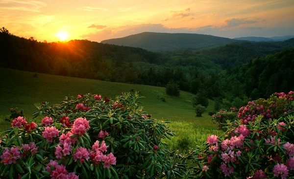 اوج زیبایی در طبیعت/عکس