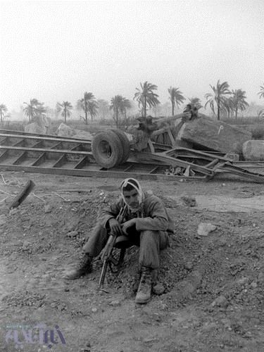 آرامشی باور نکردنی/عکس