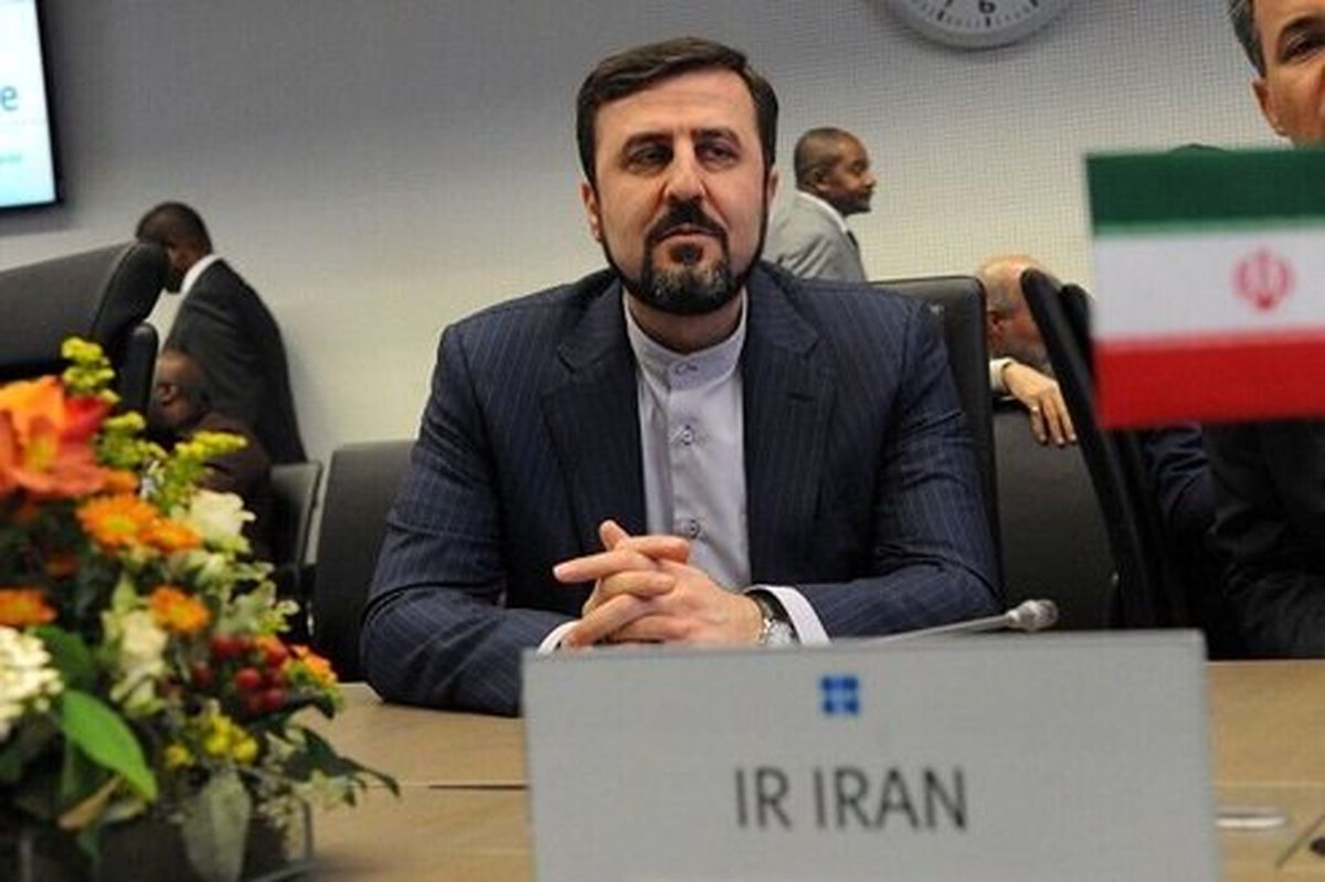 غریبآبادی: سمینار کشورهای تحریمی به زودی برگزار میشود